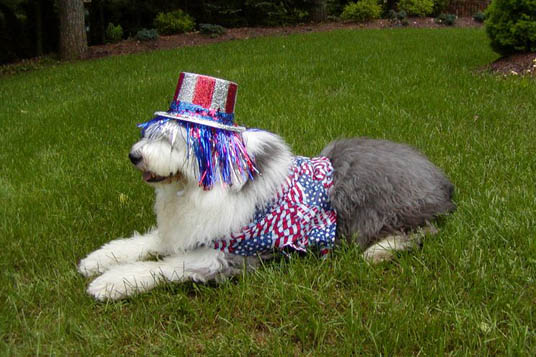 Harry for office!