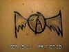 Joe Perry's Wings!