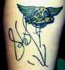 Pandys Tat!