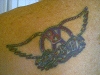Tom's Tat!