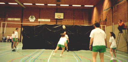 volleybal.JPG (74545 bytes)
