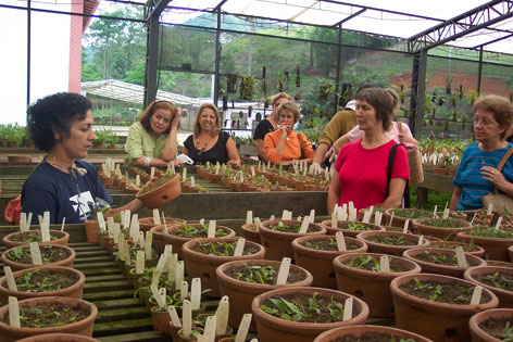 Orquid&aacute;rio Quinta do Lago