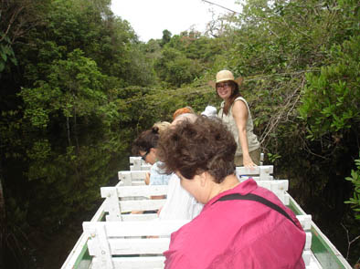 Desenhando na floresta
