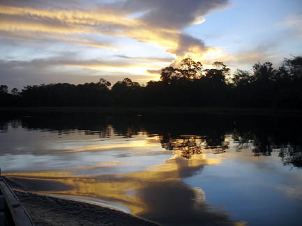 Paisagem Amaz&ocirc;nica