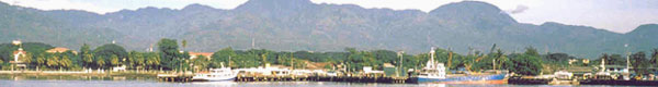www.dumaguetecity.com Banner