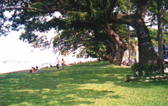 Click to zoom - Dumaguete City Boulevard