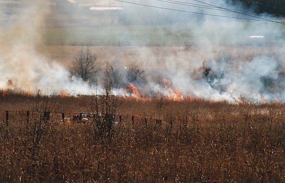 Grass Fire at UNE