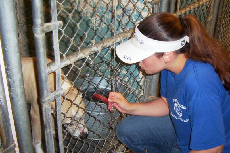 Me at the Animal Adoption Center.