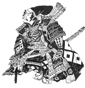 Samurai Warrior