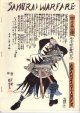 Samurai Warfare