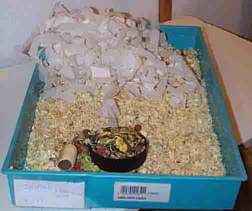 tray.jpg (66852 bytes)