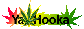 The Guide to Marijuana on the Internet "If we unite as one voice, we will be heard!"