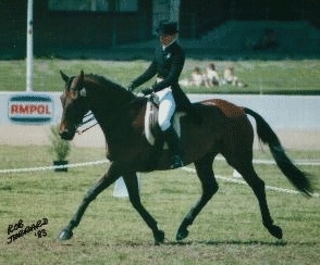 Lesley Fenner