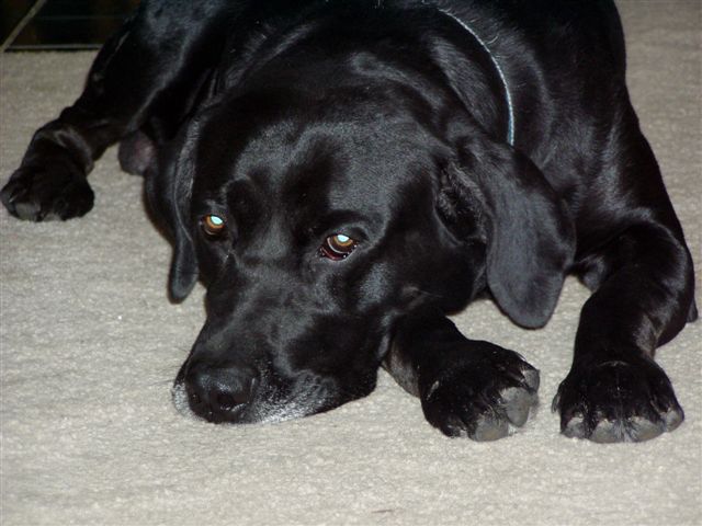 Isn't he cute??