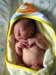 papoose8daysold_small.jpg