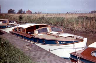broadland swan at Somerleyton