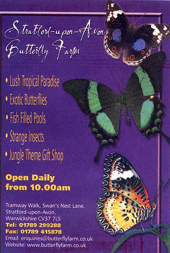 Stratford Butterfly Farm