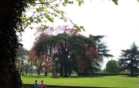 theabbeygrounds.jpg