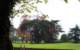 theabbeygrounds_small.jpg