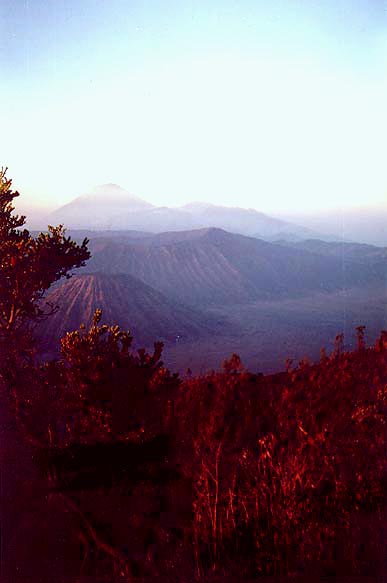 (Mt. Bromo, East Java)