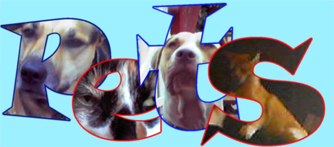 Pet's Page! May take a while to download....