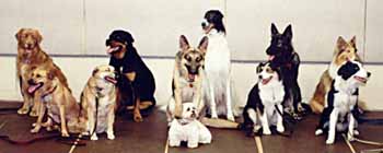 Monday Night Advanced Class