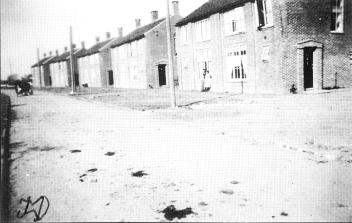dbfoto36.jpg