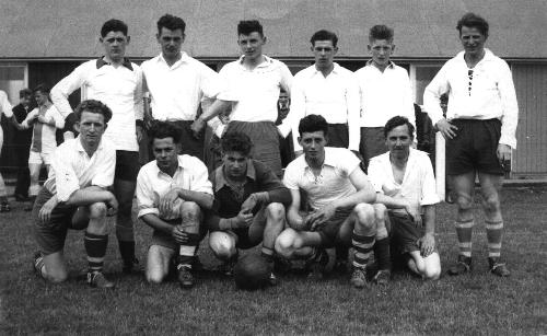 dbfoto8.jpg (23.400 bytes)