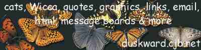 Bitterfly banner
