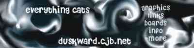 Everything Cats Swirly banner