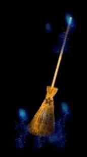 Broom, borrowed from http://pages.ivillage.com/valerian68/valeriansrealm/id21.html