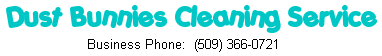 Dust Bunnies Cleaning Service