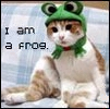 Yes you are...