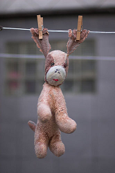 Capital Punishment...he he