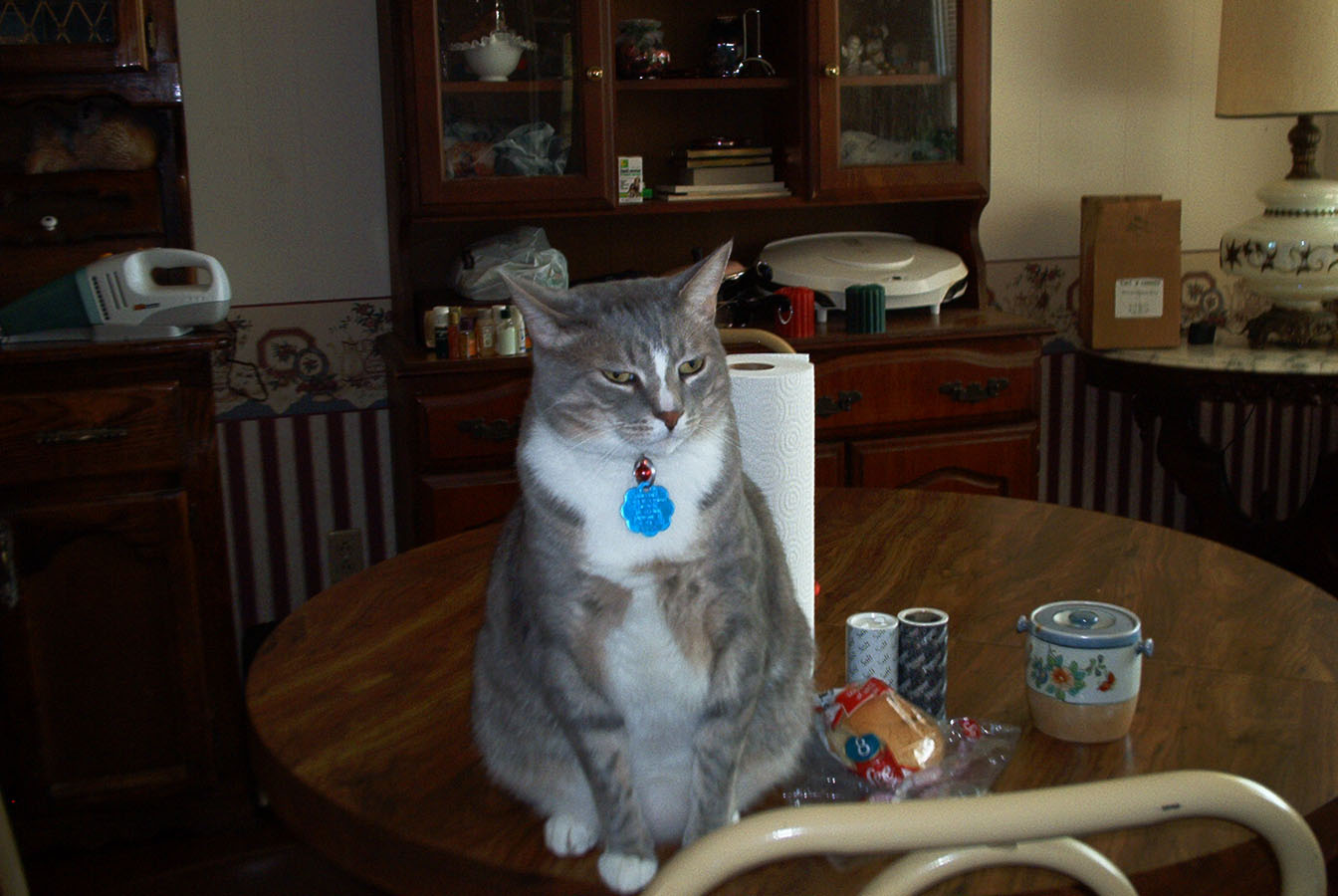 Must you bother me?