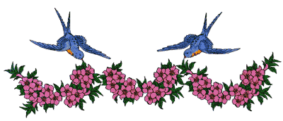 birds