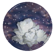 ball