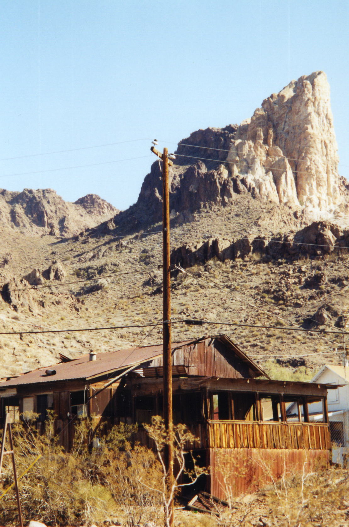 arizona_oatman