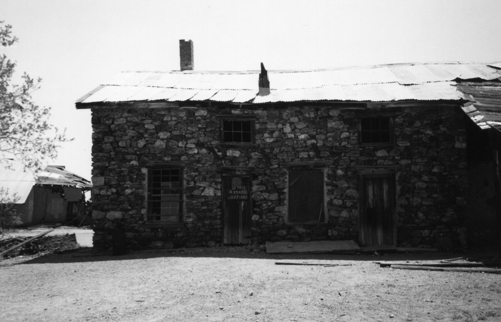 arizona_vulture_and_congress