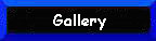 Polymer Clay Gallery