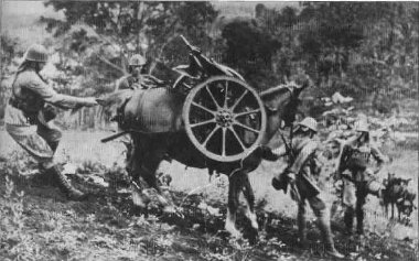 Dutch (KNIL) Bofors 75-mm Model 1934