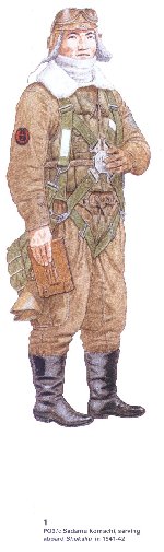 Japanese Naval Pilot, 1941-1942