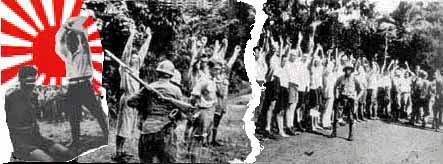 VAE VICTIS, Dutch East Indies 1941-1942
