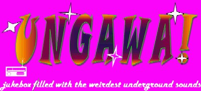 Radio UNGAWA! new frequency 106.7 FM