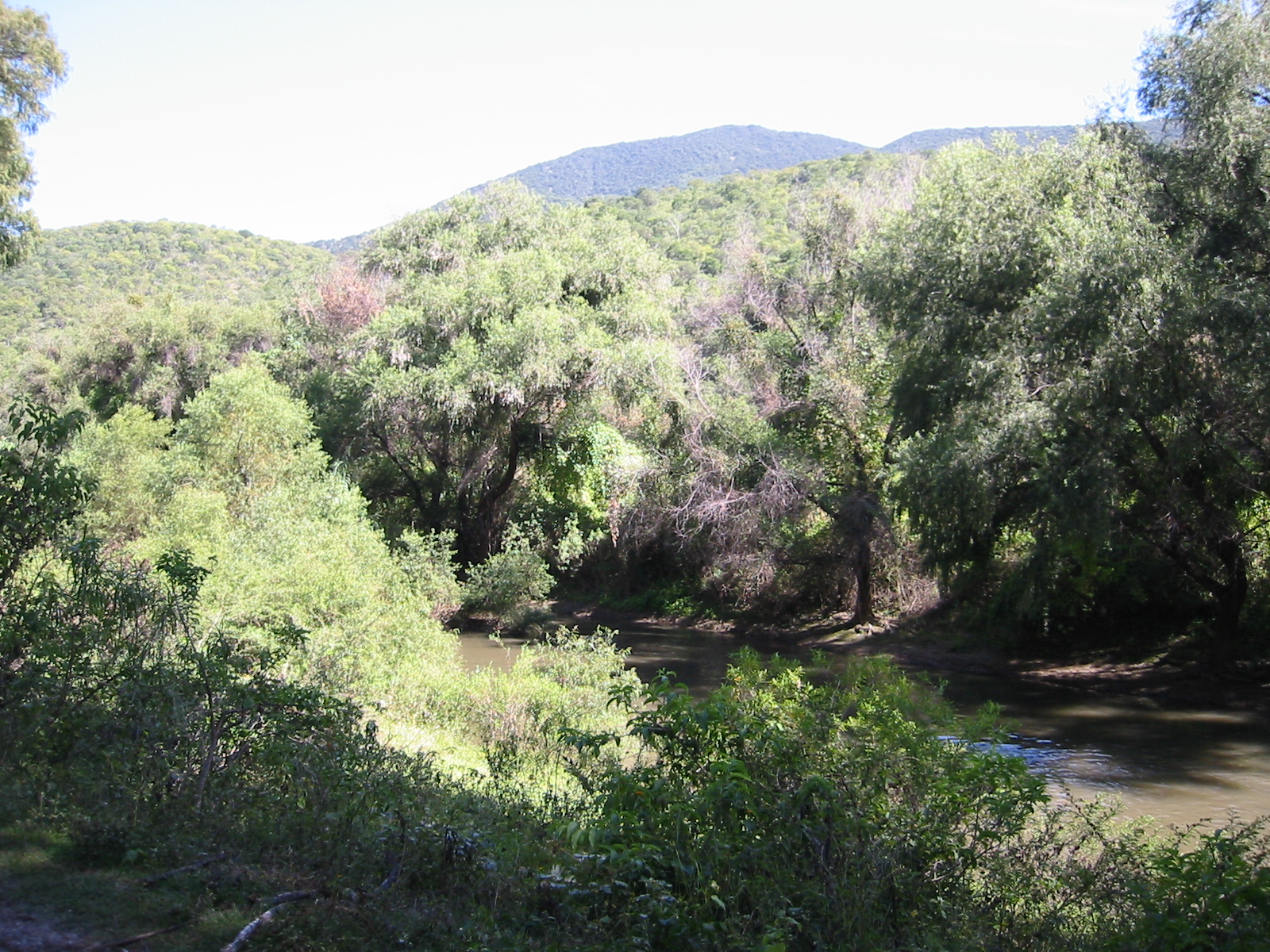La Naturaleza