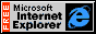 Microsoft Internet Explorer