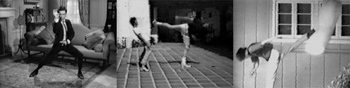 DVD compiles all that has been missing - seen and unseen - of the Bruce Lee in action