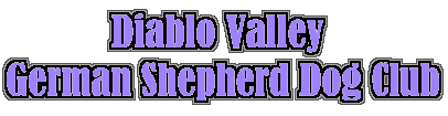 dvlogo.gif (21349 bytes)