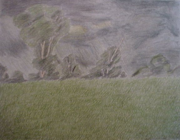 TreesOnPlains