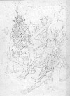 Drow Revisited